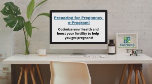 Preparing for Pregnancy e-Program!